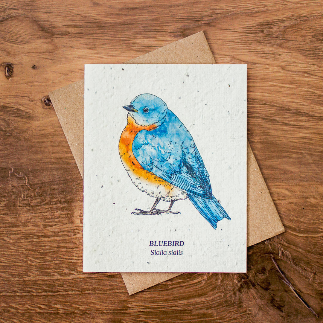 Plantable Seed Paper Greeting Cards (Earth)