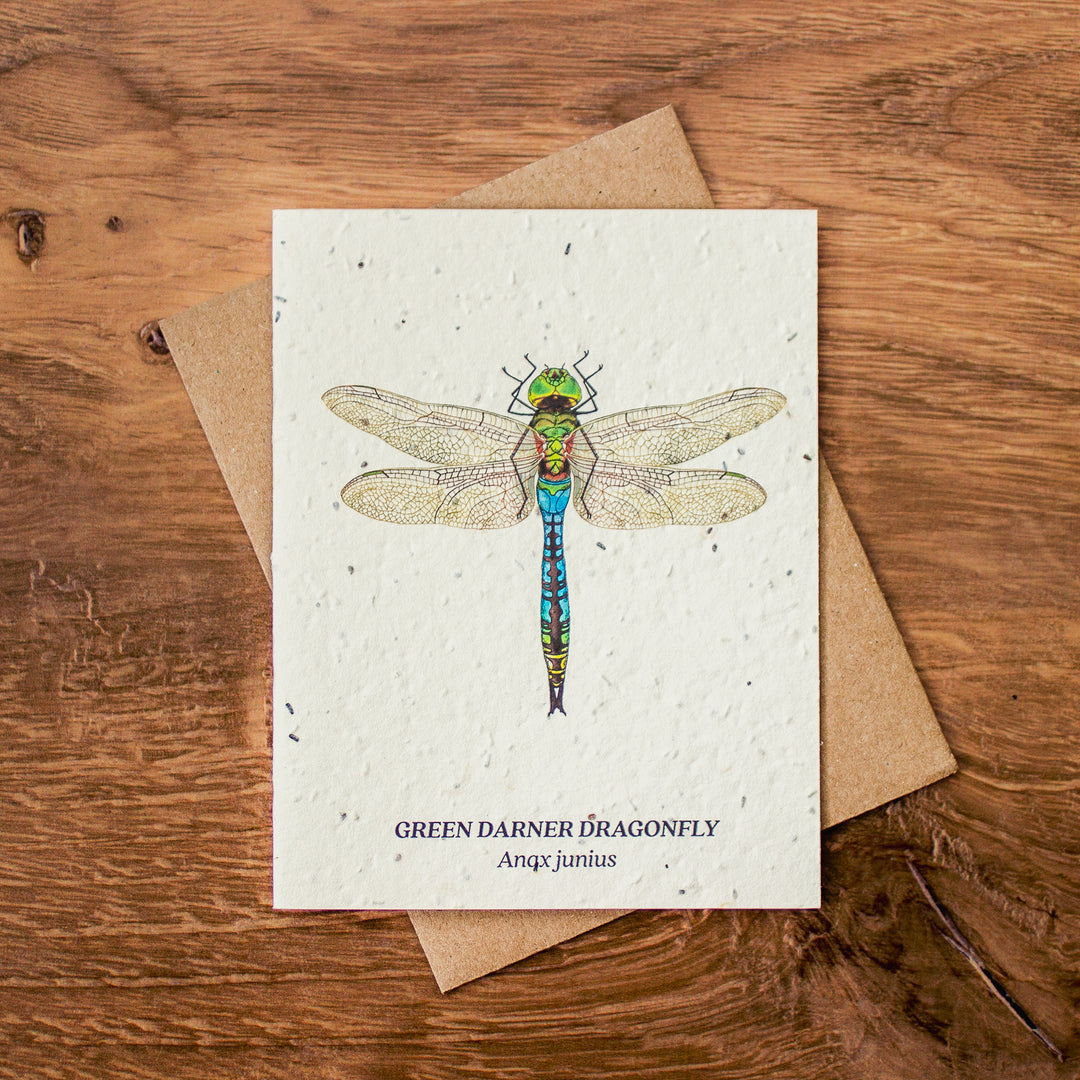 Plantable Seed Paper Greeting Cards (Earth)