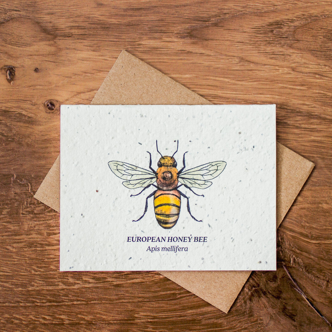 Plantable Seed Paper Greeting Cards (Earth)