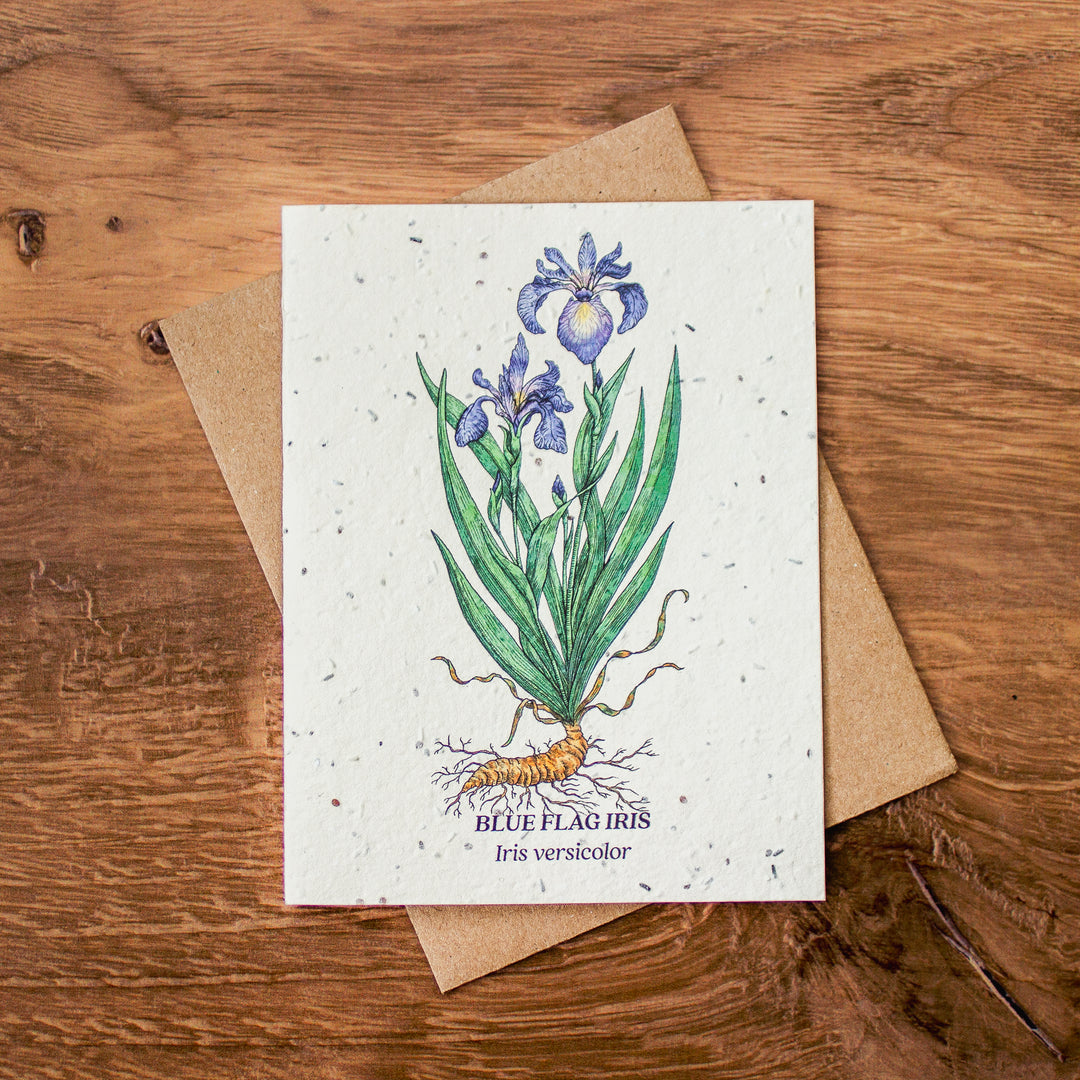 flower seed greeting cards Plantable Seed Paper Greeting Cards (Earth)
