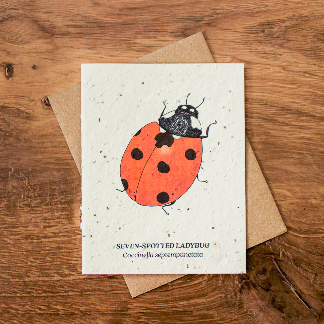 Plantable Seed Paper Greeting Cards (Earth)