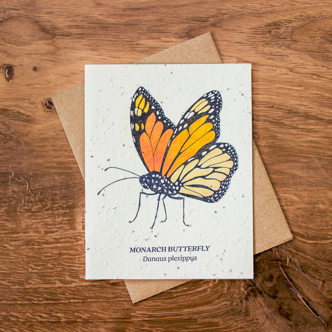 Plantable Seed Paper Greeting Cards (Earth)