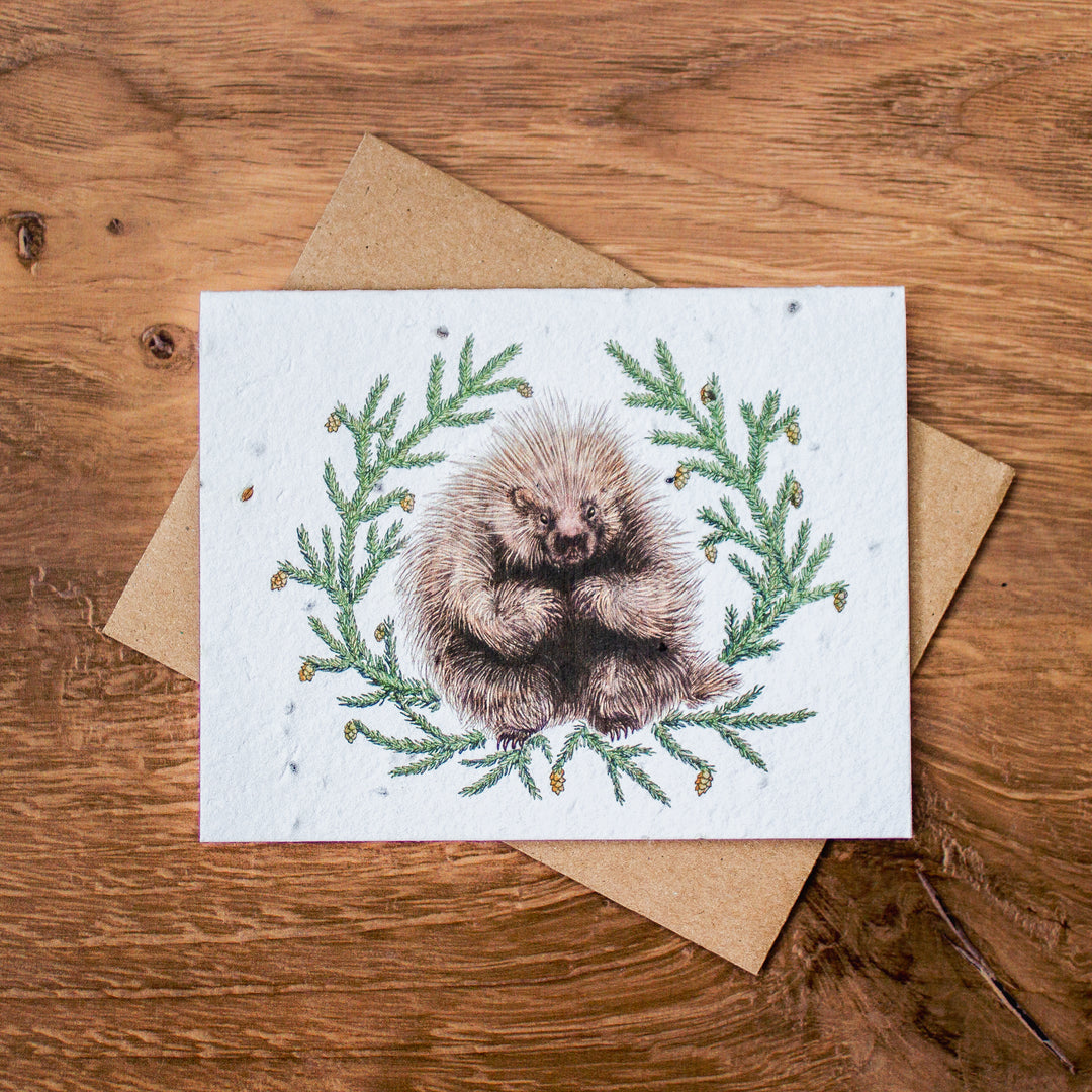 Plantable Seed Paper Greeting Cards (Earth)