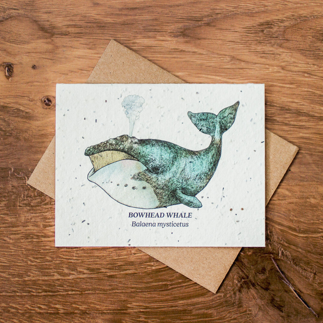 Plantable Seed Paper Greeting Cards (Earth)