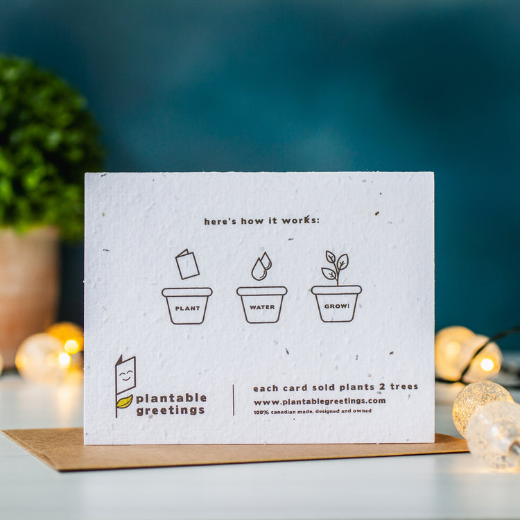 Plantable Seed Paper Greeting Cards - back of cards