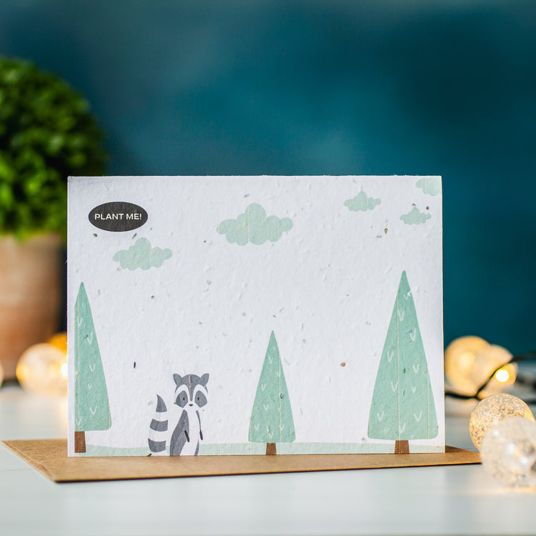 Plantable Seed Paper Greeting Cards - The Curious Raccoon design