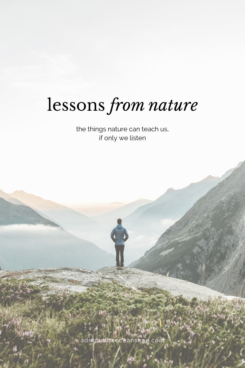 Lessons from Nature: The Things Nature Can Teach Us, If Only We Listen