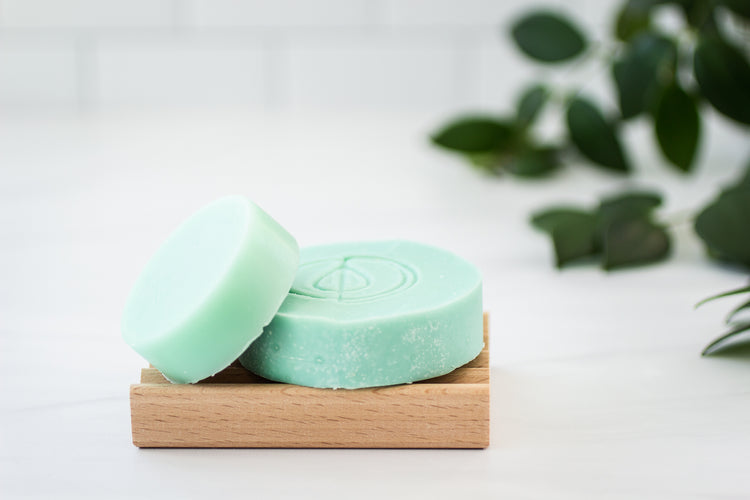 A Drop in the Ocean Tacoma Zero Waste Sustainable Living Shop Shampoo and Conditioner Bar Bundle - All Hair Types