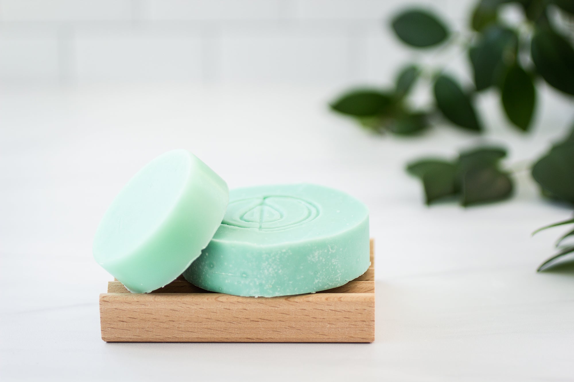 A Drop in the Ocean Tacoma Zero Waste Sustainable Living Shop Shampoo and Conditioner Bar Bundle - All Hair Types