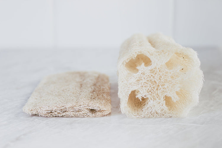 A Drop in the Ocean Sustainable Living Zero Waste Plastic Free Shop Natural Loofah Sponges (Set of 6) Reusable Goods 