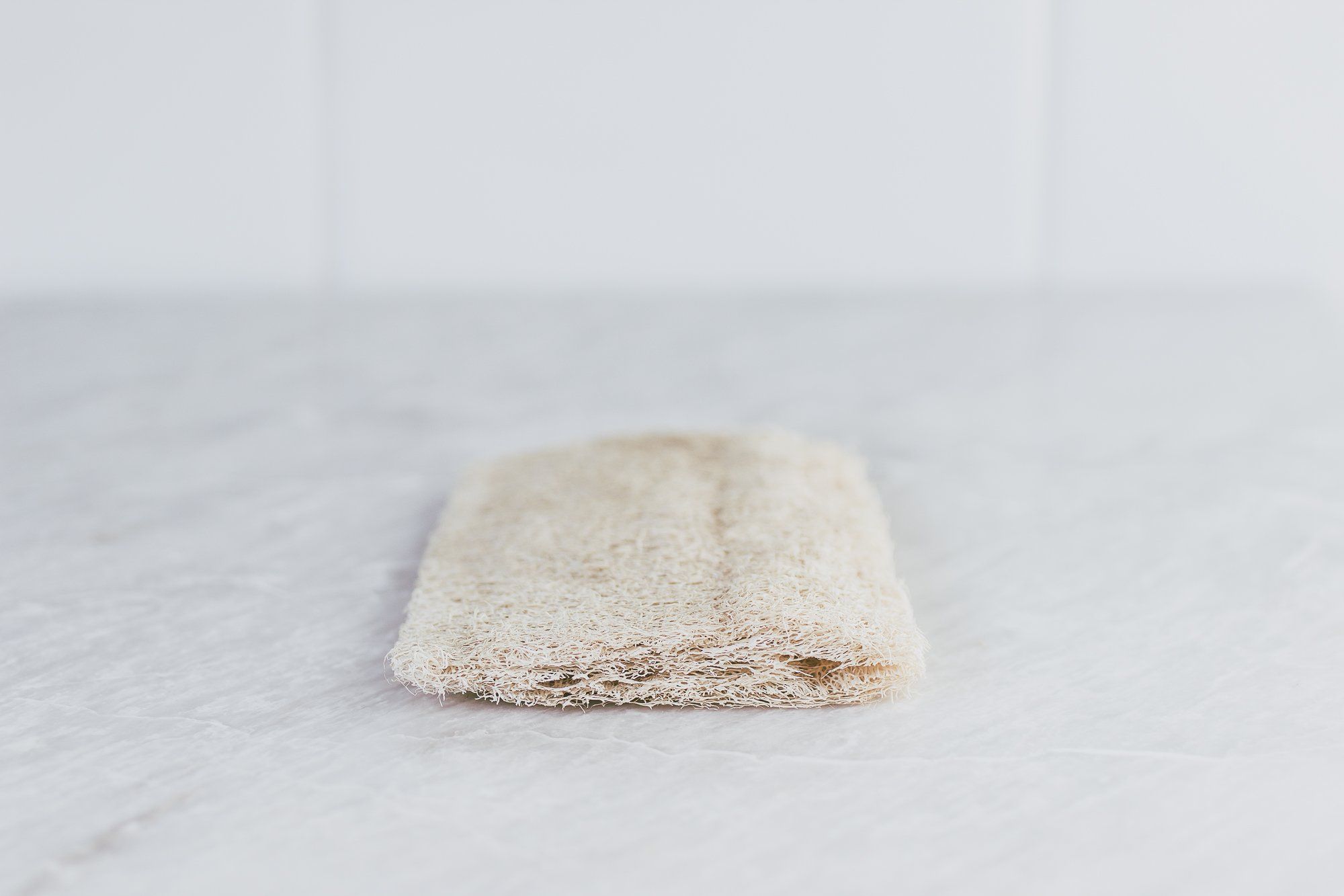 A Drop in the Ocean Loofah Sponge