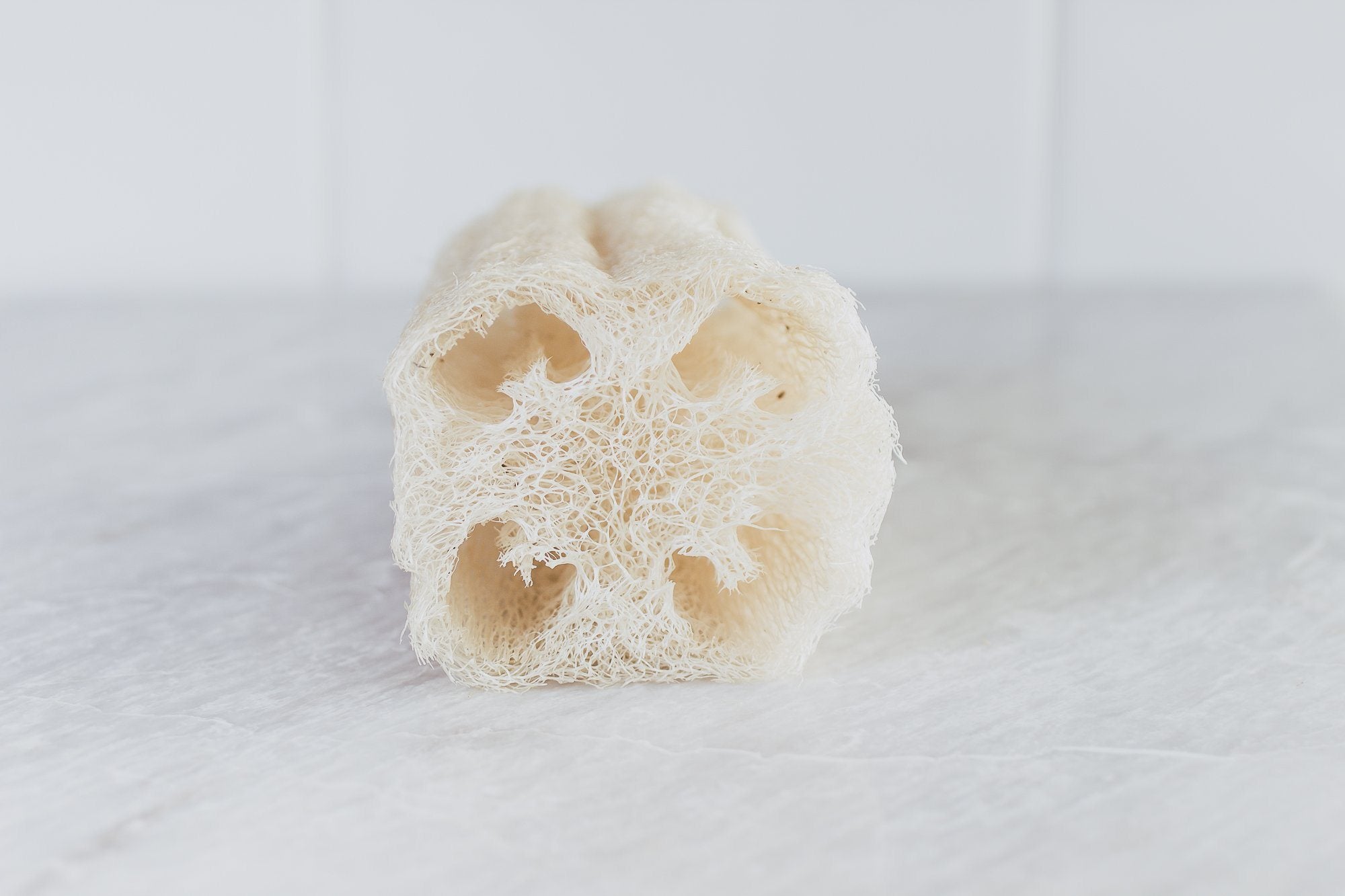 A Drop in the Ocean Loofah Sponge - Thumbnail 3
