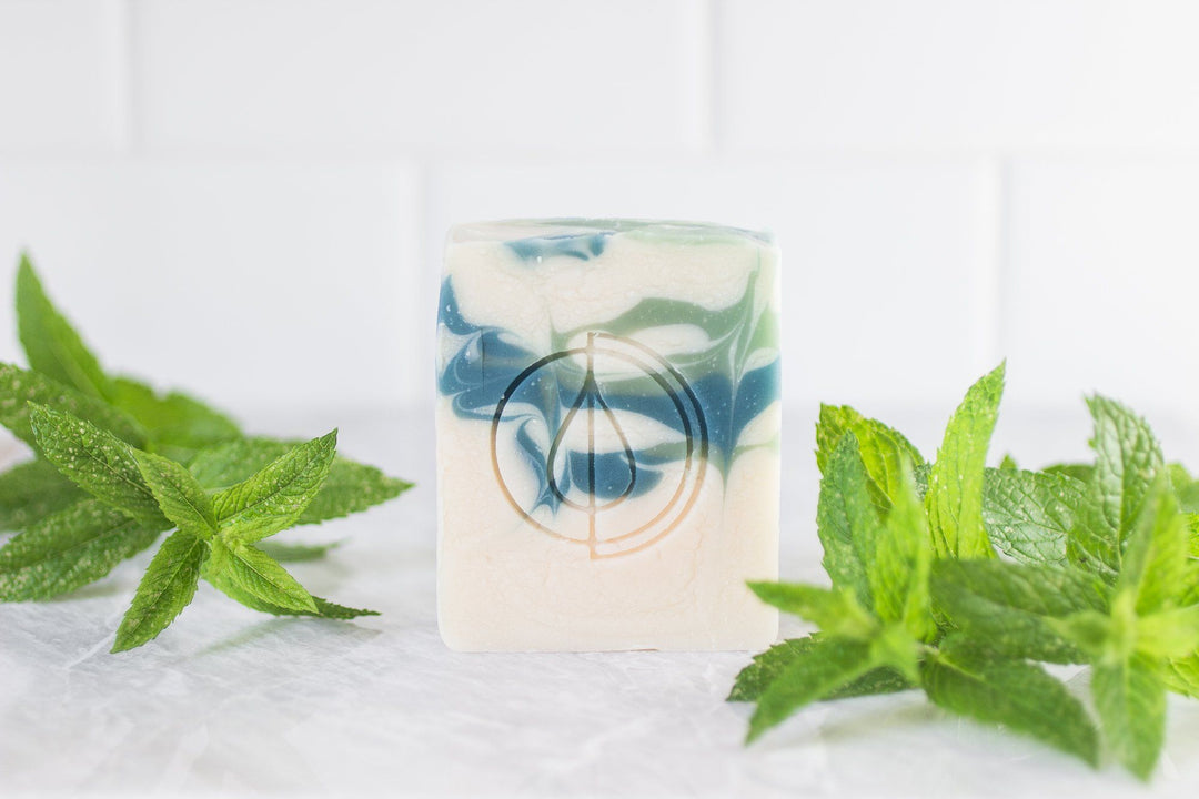 A Drop in the Ocean Sustainable Living Zero Waste Plastic Free Shop Seasonal Soap // Mint Mojito Hand+Body Bar Bar Soaps 